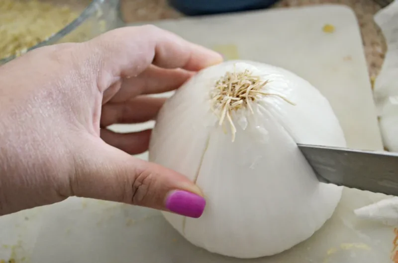 blooming onion